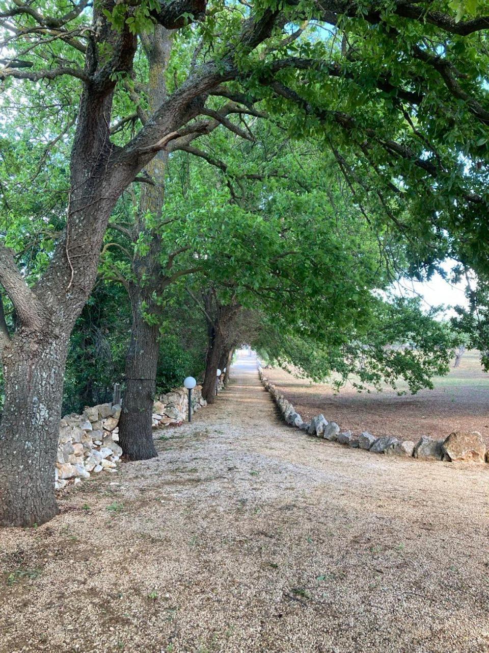 Antica Tenuta Dei Trulli By Qualitravel アルベロベッロ エクステリア 写真